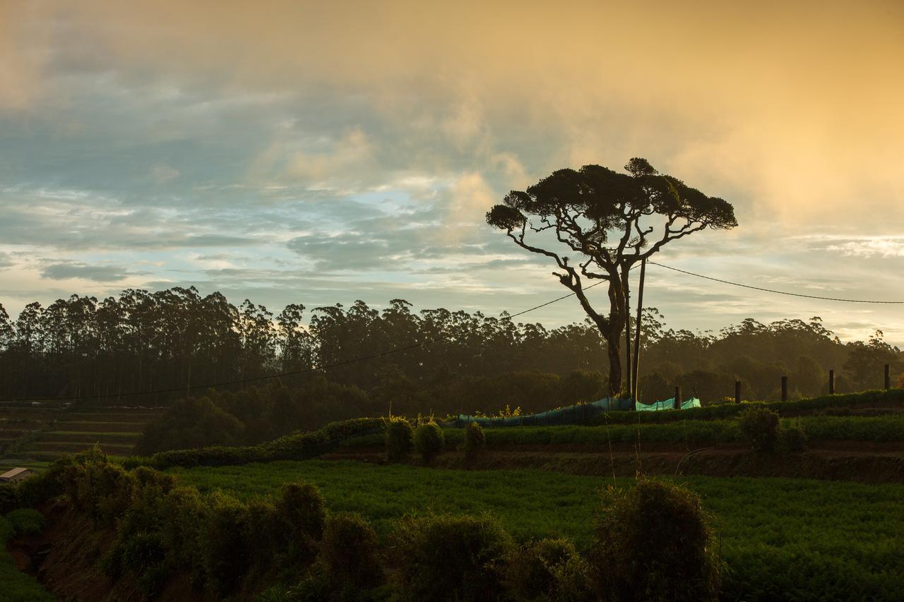 Grand Camellia Hotel Nuwara Eliya Exterior foto